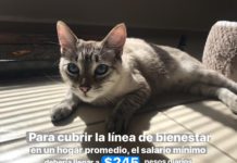 nuevo salario mínimo