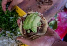 FERIA DEL TACO EN HIDALGO 2019