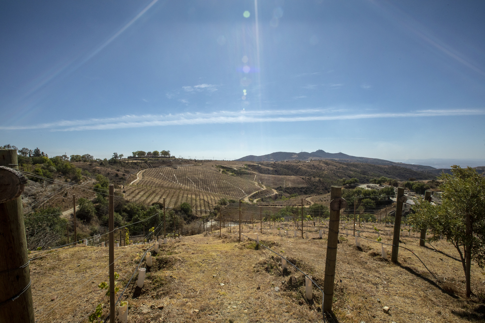 Qué hacer en Guanajuato