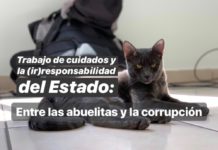 Trabajo de cuidados y la (ir)responsabilidad del Estado: entre las abuelitas y la corrupción. gatitos contra la desigualdad estancias infantiles