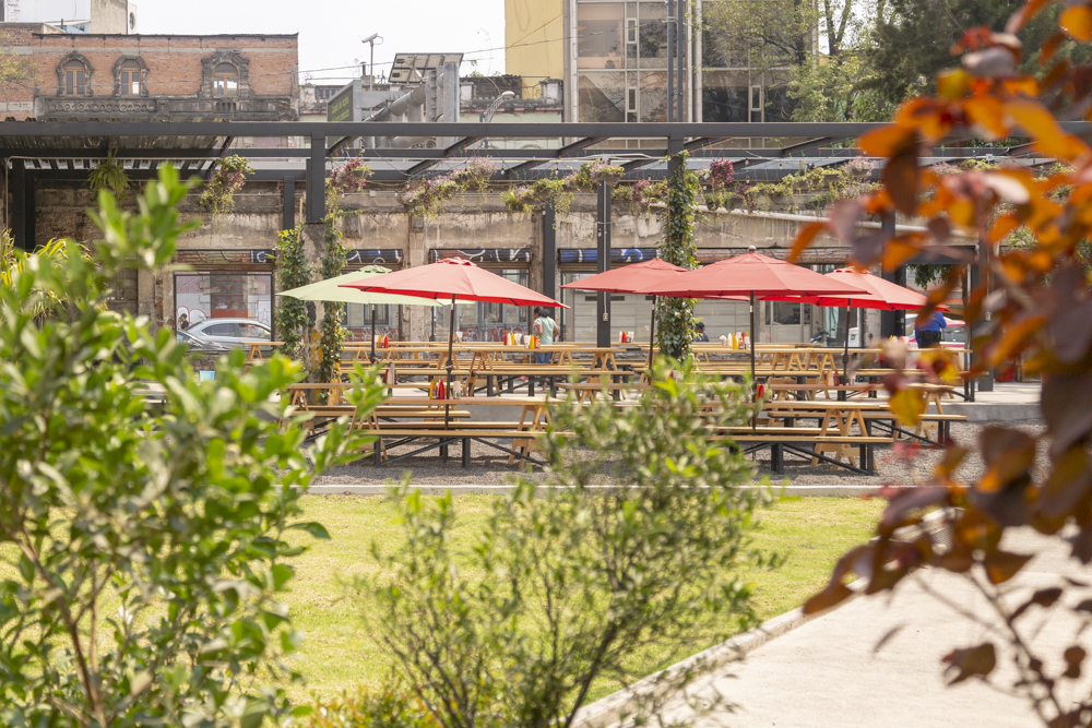 restaurantes con terraza en CDMX