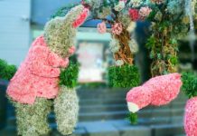 Gran Feria Internacional de Ornamentales, Plantas y Flores en la CDMX Feria Internacional de Ornamentales