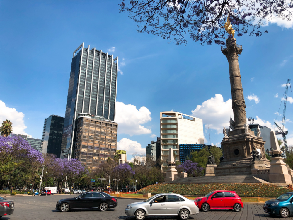 restaurantes para ver jacarandas en CDMX