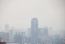 Guarda el auto: estos son los vehículos que no circulan este jueves Contingencia en la CDMX