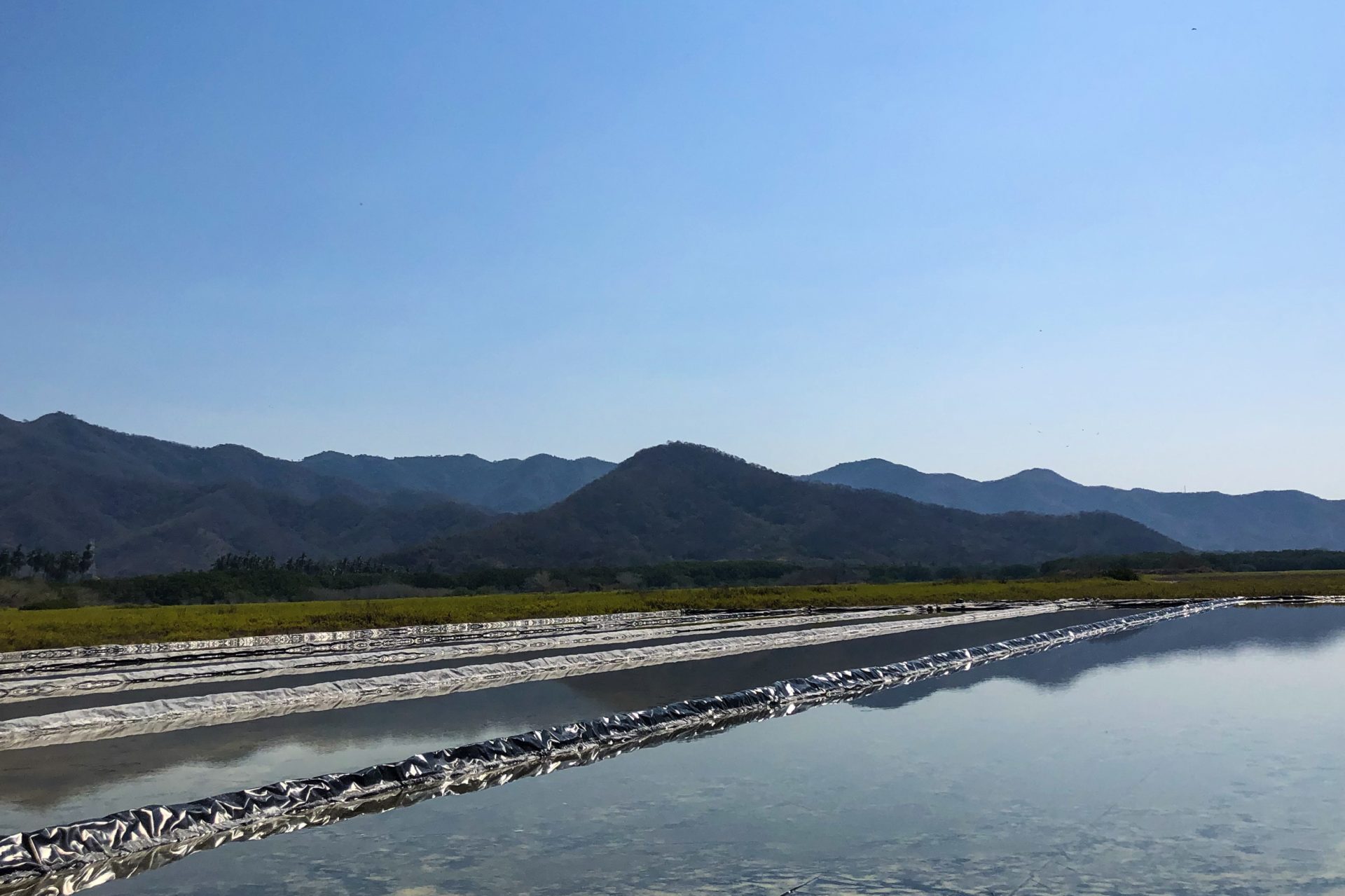 chilango - Camina sobre hermosos espejos de agua salada en Colima