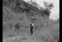 ¡Al fin llegó! Conoce las actividades de la gira Ambulante 2019 en la Ciudad de México actividades gira ambulante 2019