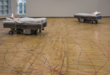 Carsten Höller en el Museo Tamayo