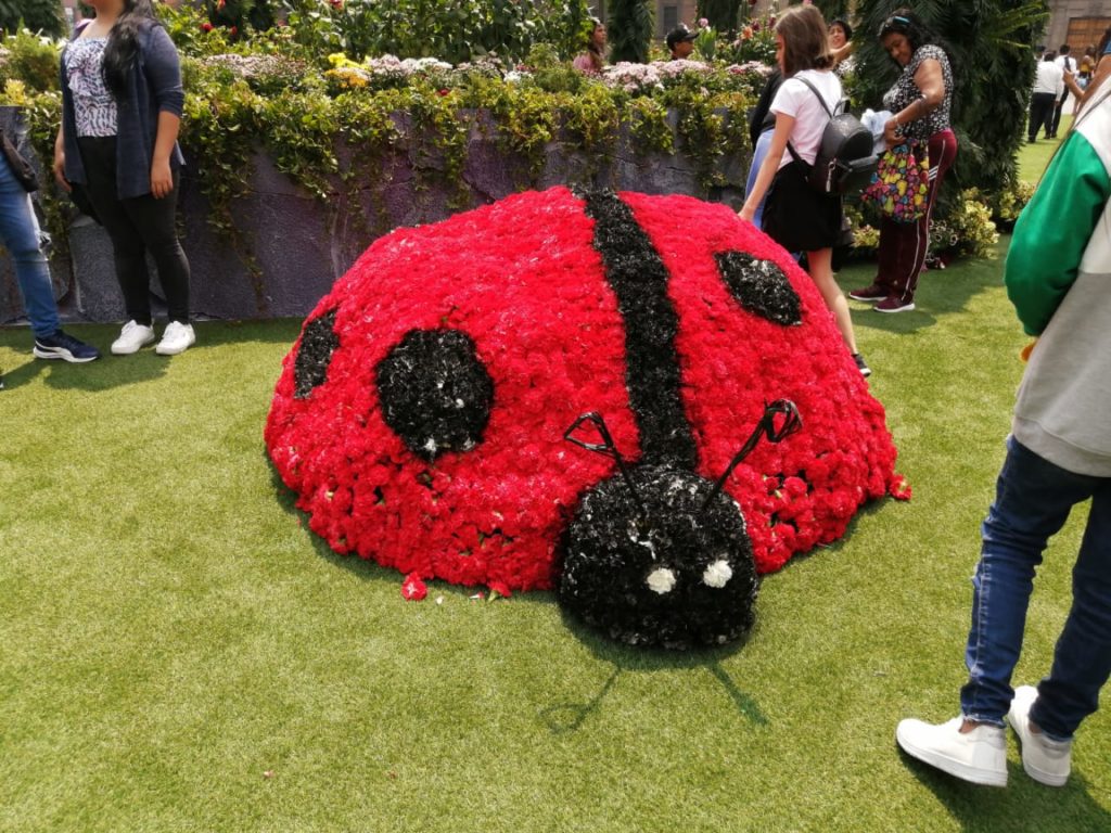 Frida Kahlo en el Zócalo bug