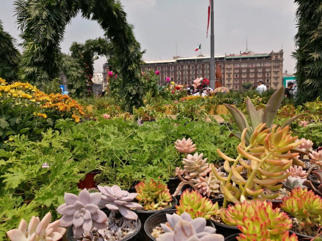 Frida Kahlo en el Zócalo flores