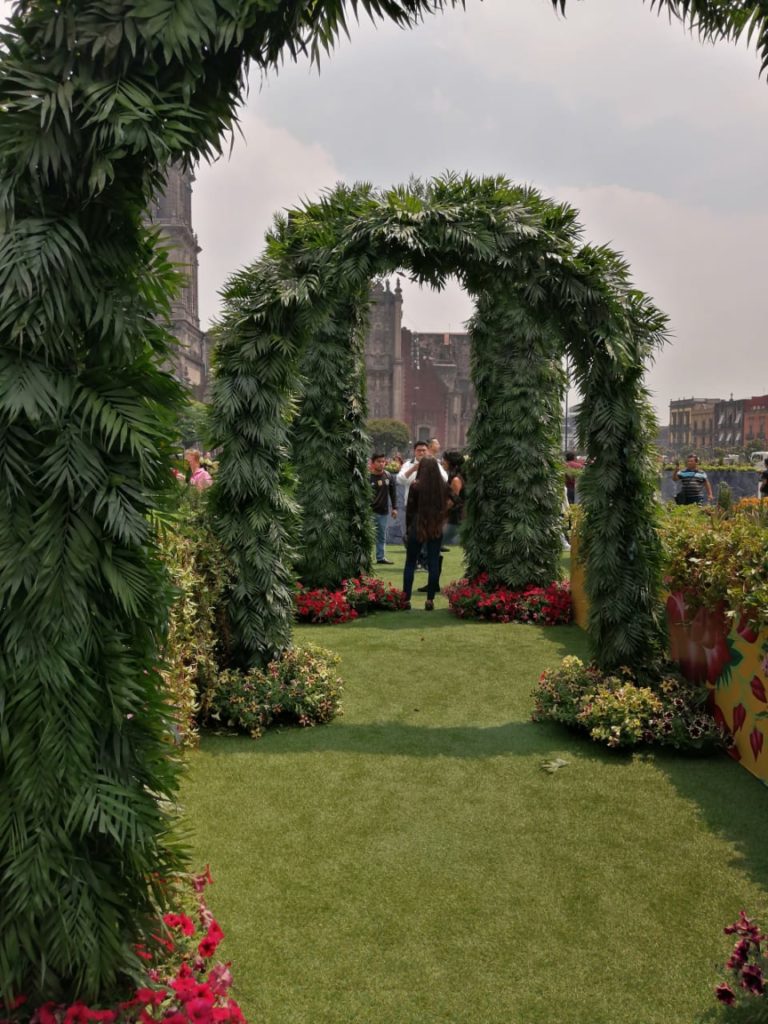 Frida Kahlo en el Zócalo instalacion