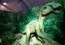 Vacaciones prehistóricas: cuatro lugares para ver dinosaurios en la CDMX expos de dinosaurios en la cdmx