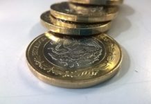 Medir la vida en quincenas medir la vida en quincenas