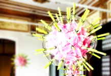 Sinestesia olfativa: la muestra inmersiva para probar tus sentidos sinestesia olfativa en el mupe