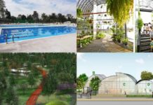 ¡Por fin! Así será la transformación del Bosque de Aragón Esta será la transformación del Bosque de Aragón