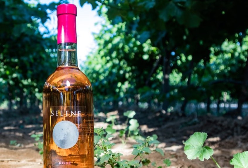 21 vinos mexicanos (buenos y confiables) 920 918