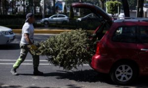 %f0%9f%8e%84no-lo-tires-lleva-tu-arbol-navideno-a-los-centros-de-acopio%f0%9f%8e%84