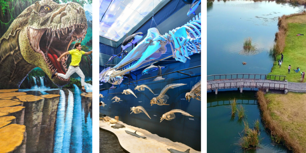 museos para niños en la CDMX