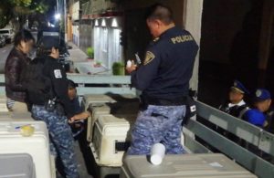 rescatan-a-76-perros-en-la-gam-estaban-en-transportadoras