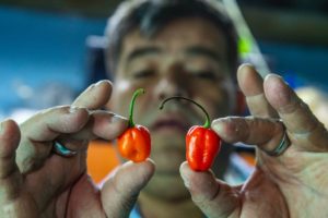 don-edgar-el-senor-con-mas-salsa-de-la-cdmx