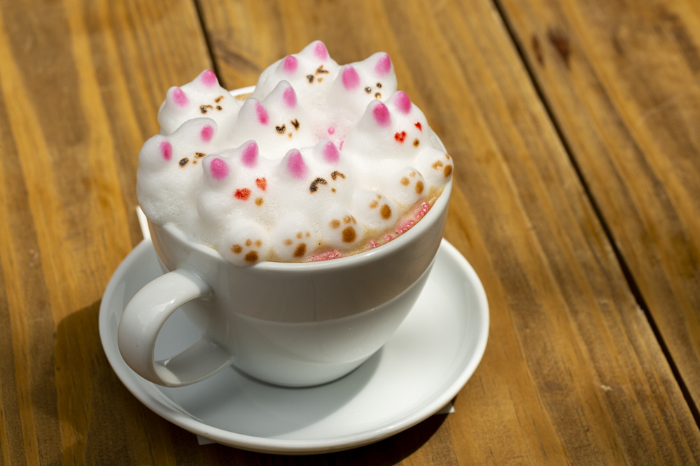 Café C