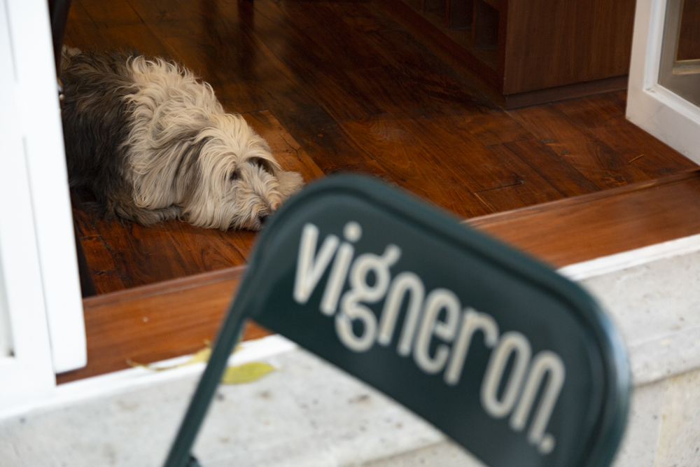 Vigneron