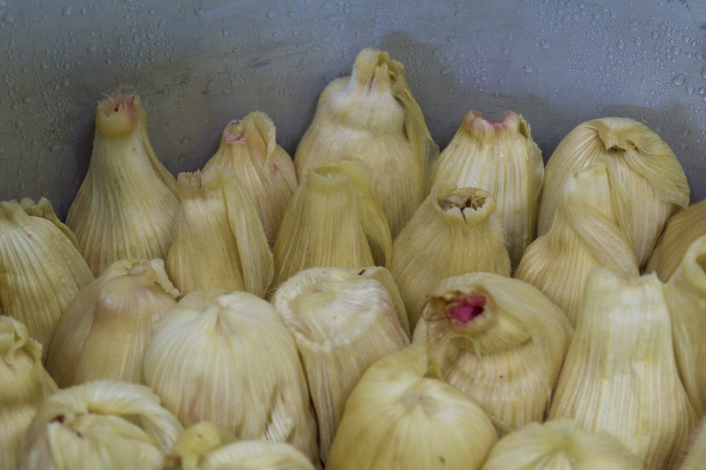 tamales en la CDMX a domicilio