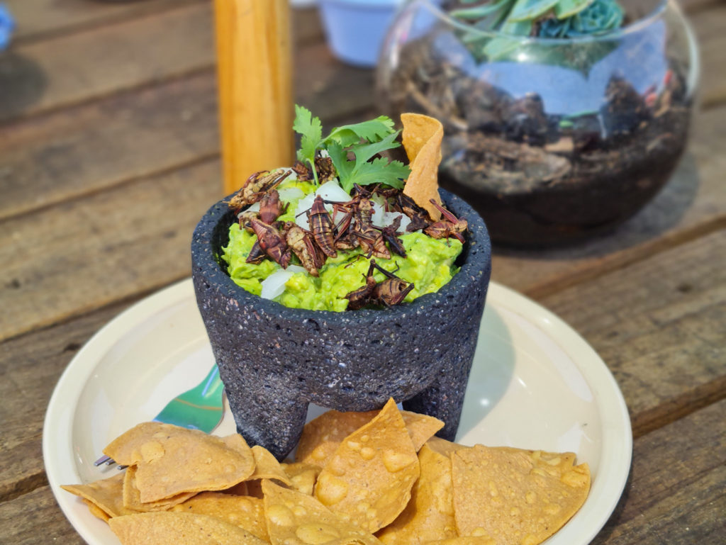 restaurantes en el bosque en CDMX