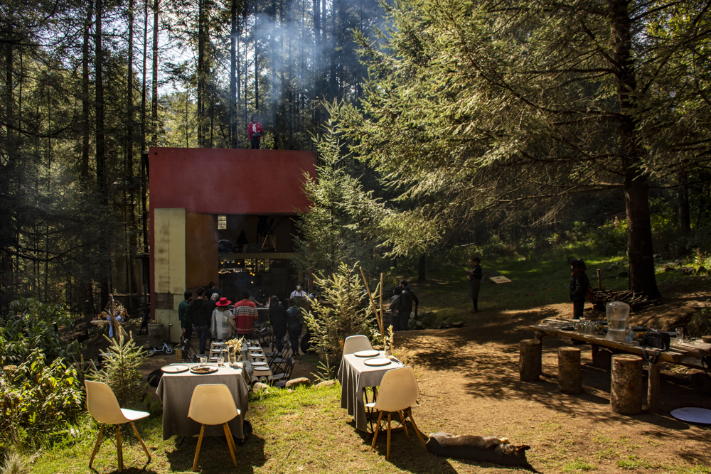 chilango en el bosque! Restaurantes escondidos entre árboles