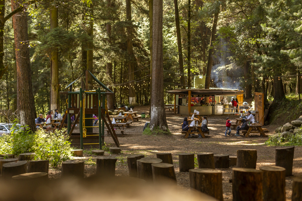 restaurantes en el bosque en CDMX