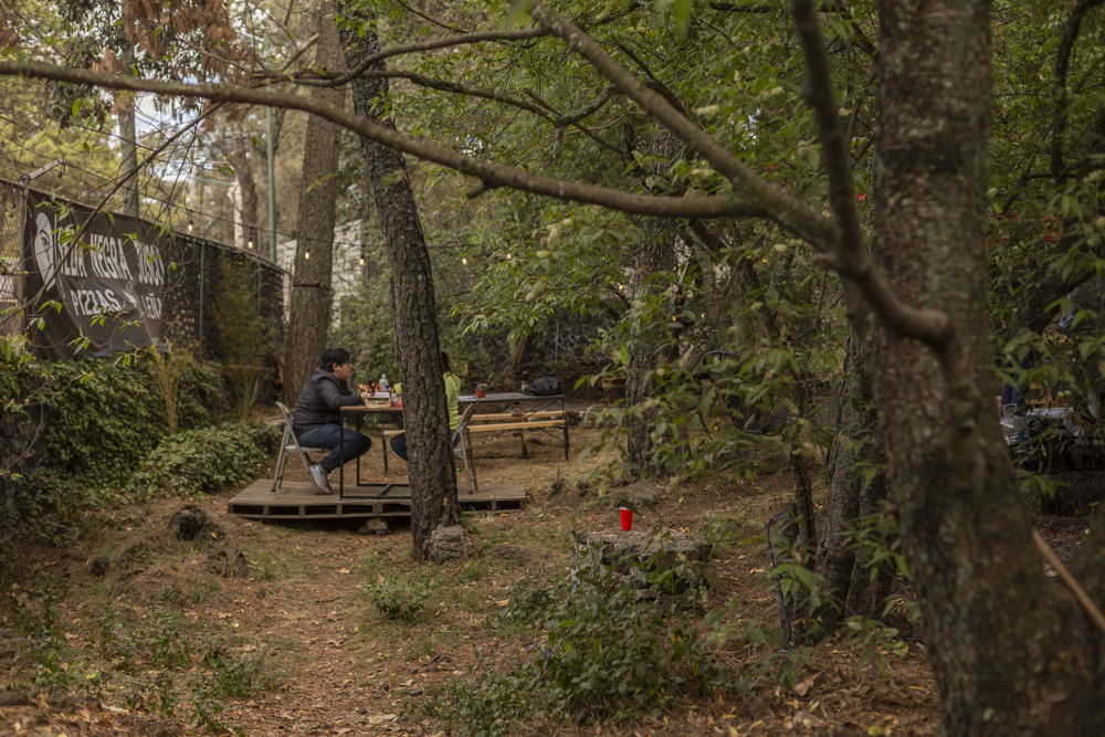restaurantes en el bosque en CDMX