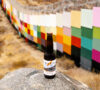 erick-meyenberg-el-artista-chilango-que-pinto-el-muro-fronterizo-en-favor-de-la-naturaleza