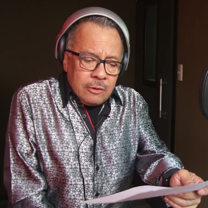 Los Simpson mexicanismos