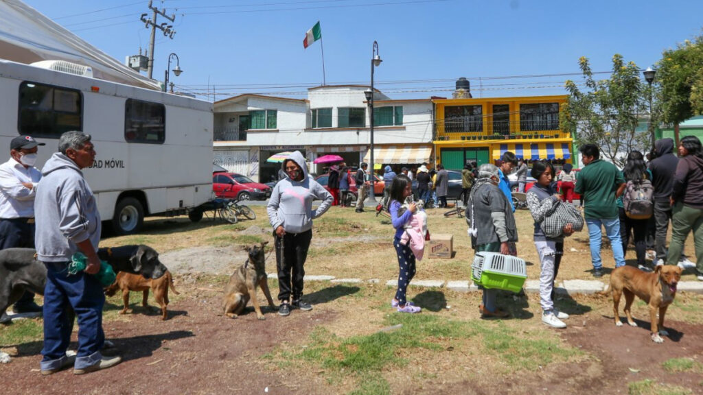 esterilizaciones gratuitas en Neza