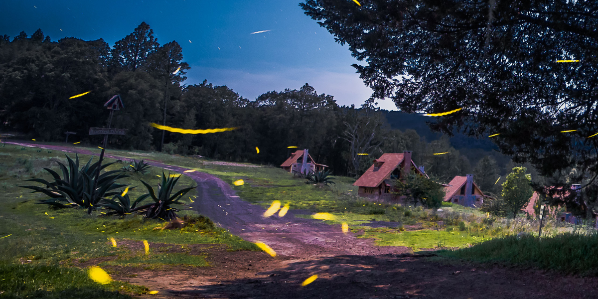 temporada luciérnagas 2022 Tlaxcala