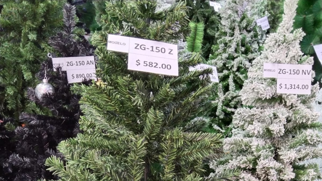 precios-arboles-cdmx-10