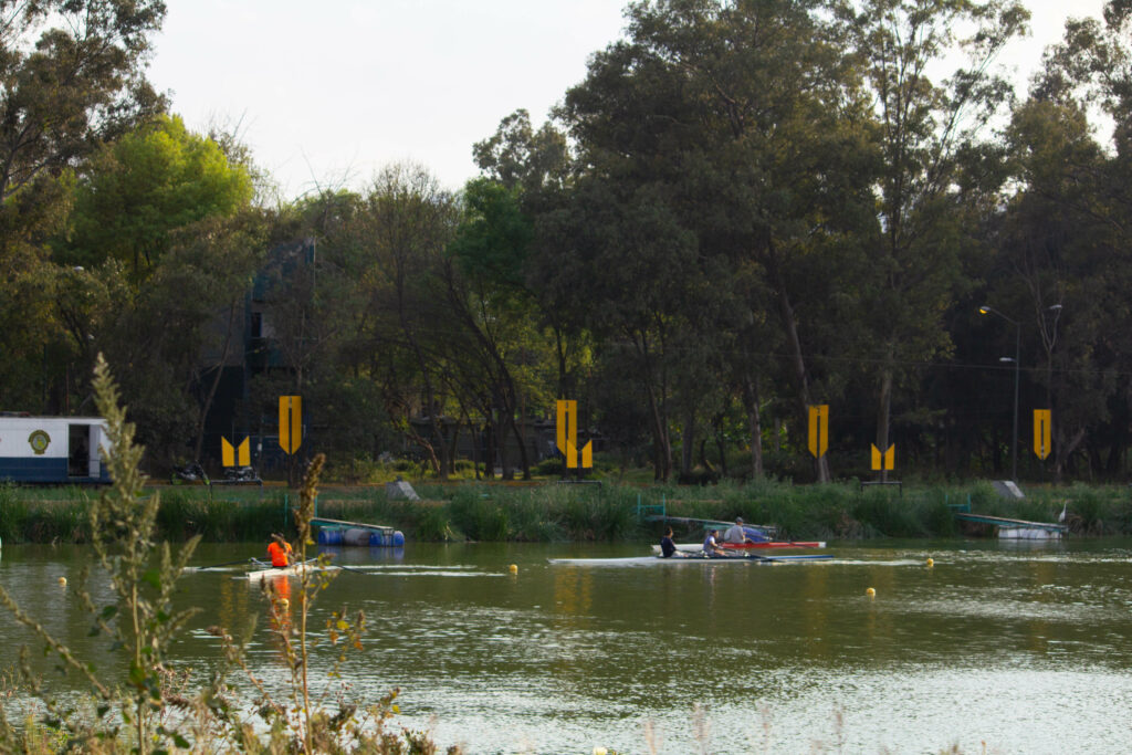 chilango El canal del milagro, la pista donde puedes practicar remo y canotaje en la CDMX chilango El canal del milagro, la pista donde puedes practicar remo y canotaje en la CDMX