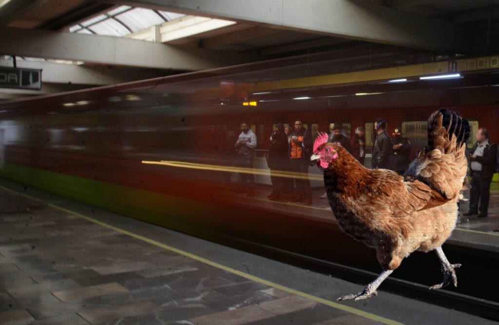 Metro CDMX Gallina