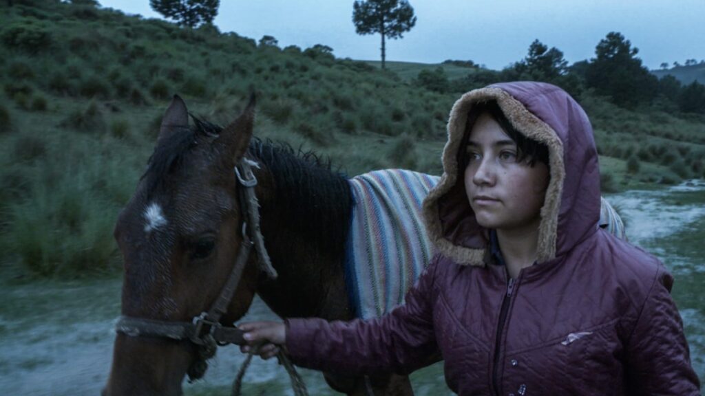 el eco tatiana huezo