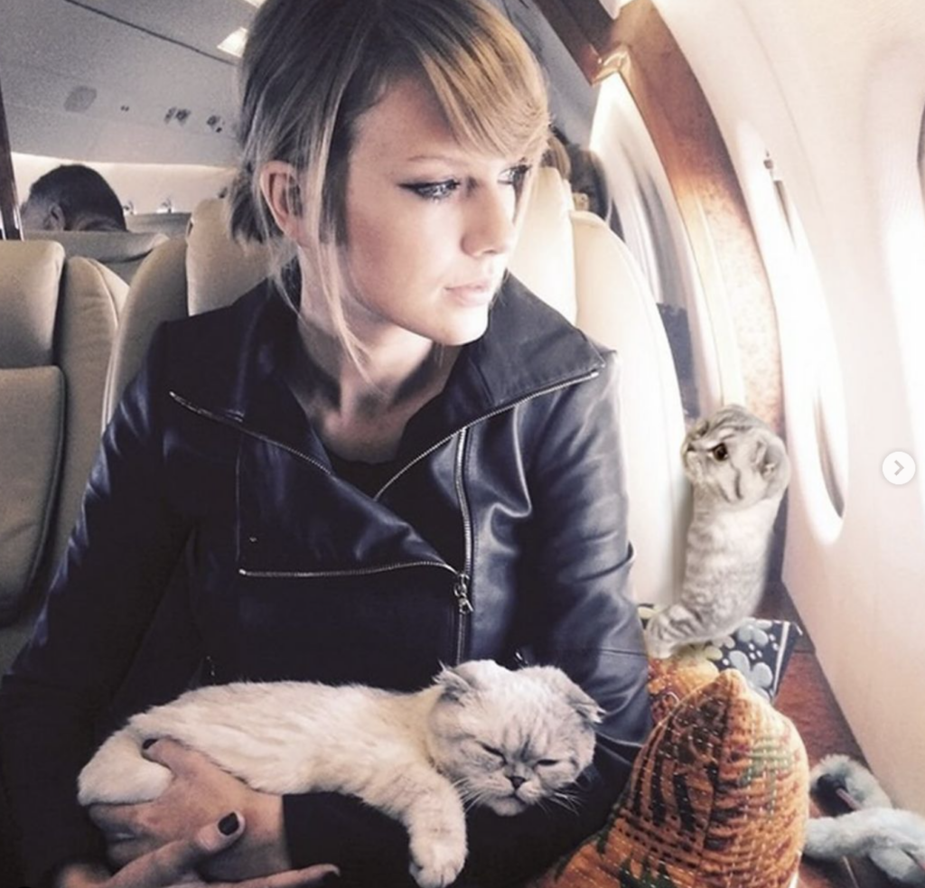 ¿Taylor Swift está detrás de Argylle: Agente Secreto? | Foto: IG @chipthecat