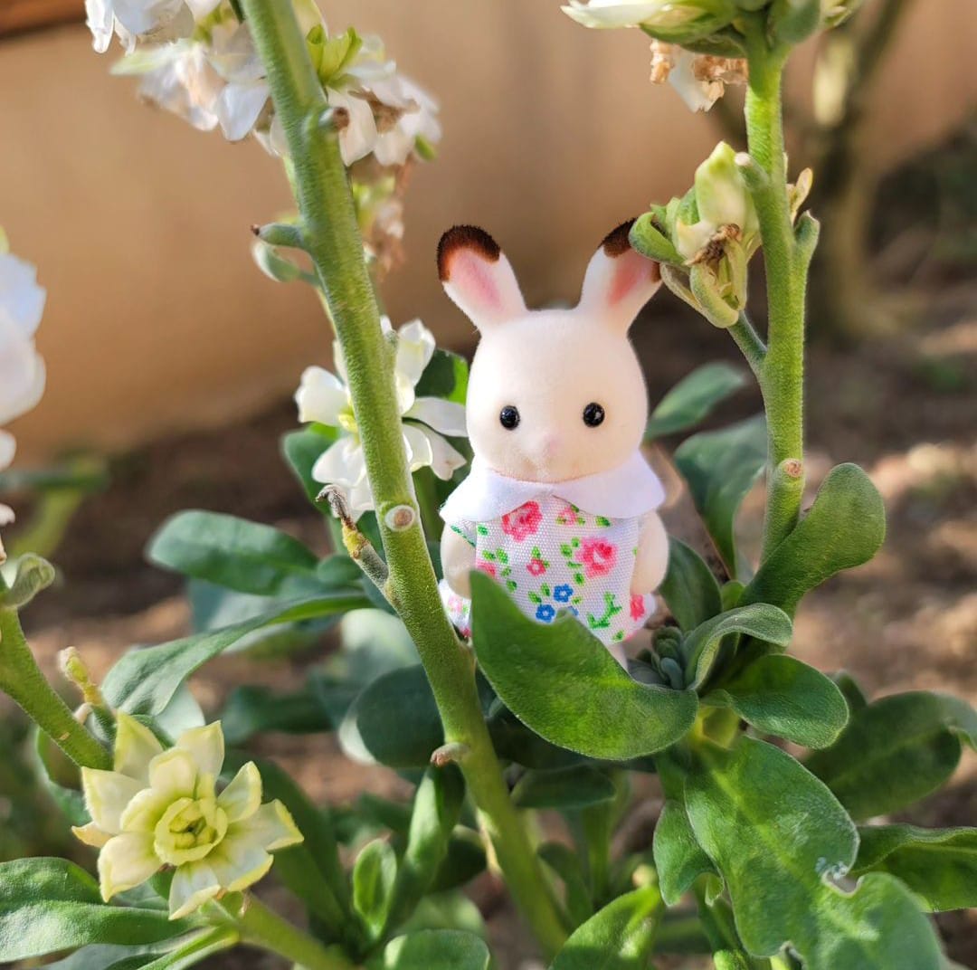 ¿Buscas Ternurines? Lánzate a este bazar en CDMX; habrá merch ...