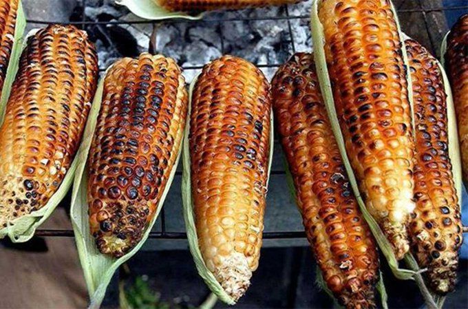 Feria del elote 2025