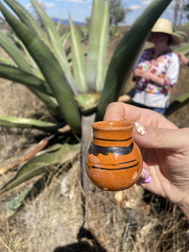 destilado de pulque