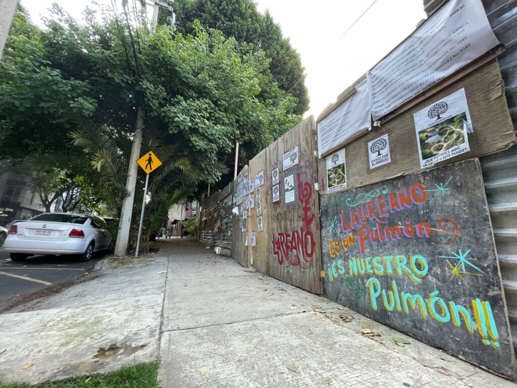 Árboles patrimoniales de CDMX