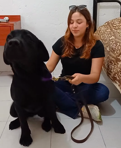 Discriminan a mujer ciega y a su perro guía en el Metro de CDMX