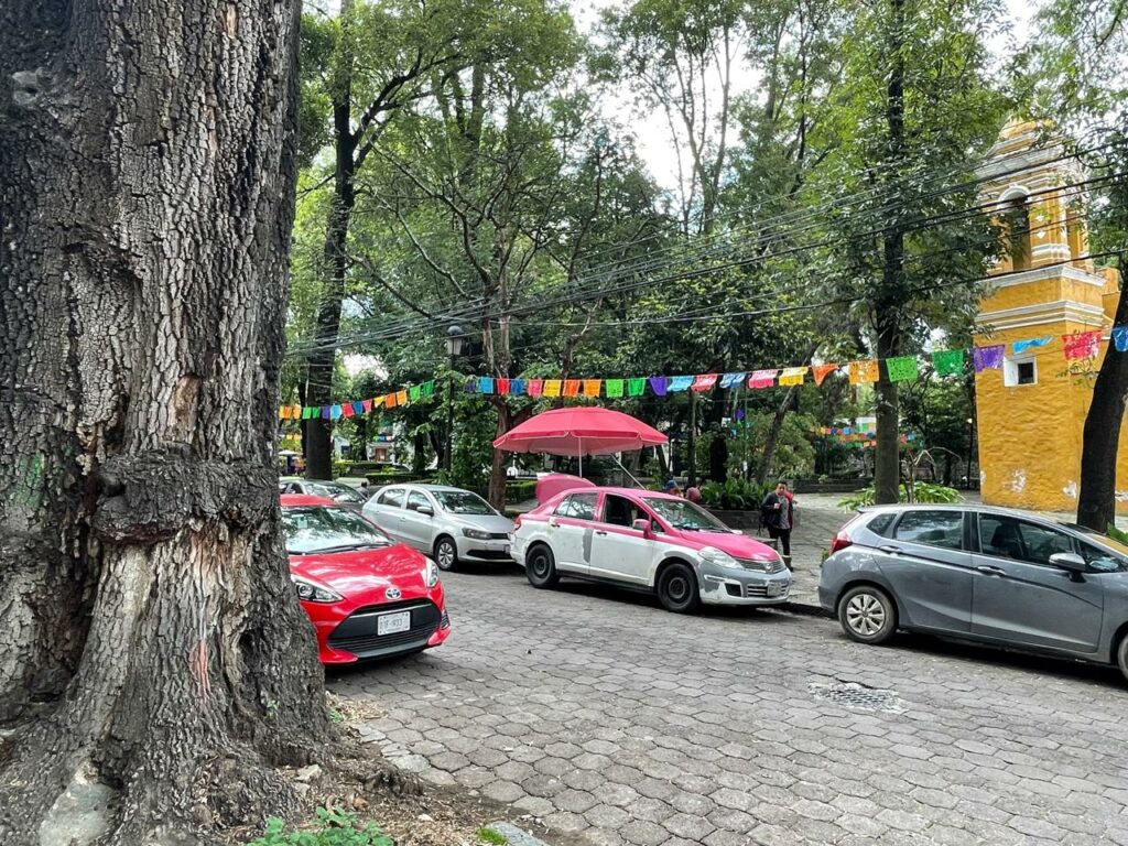 Árboles patrimoniales de CDMX