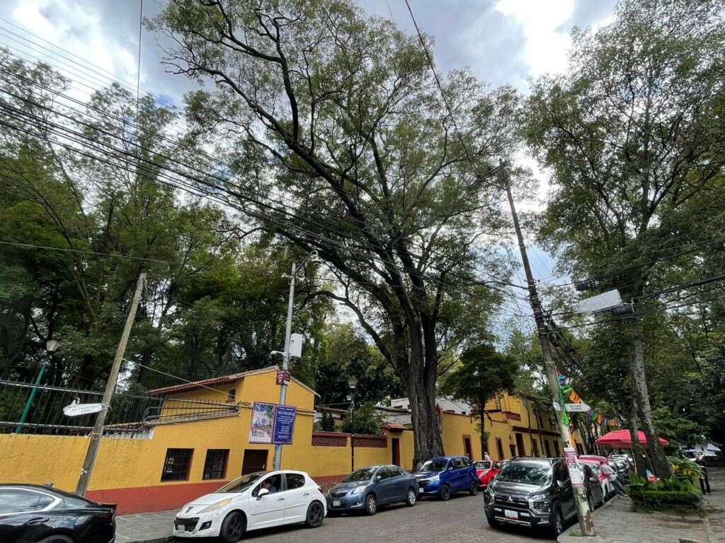 Fresno de Francisco Sosa