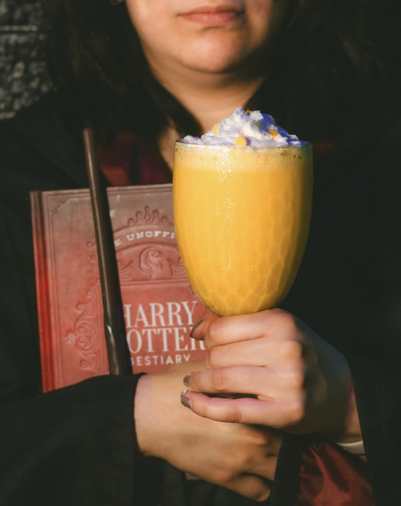 Cumpleaños de Harry Potter en CDMX