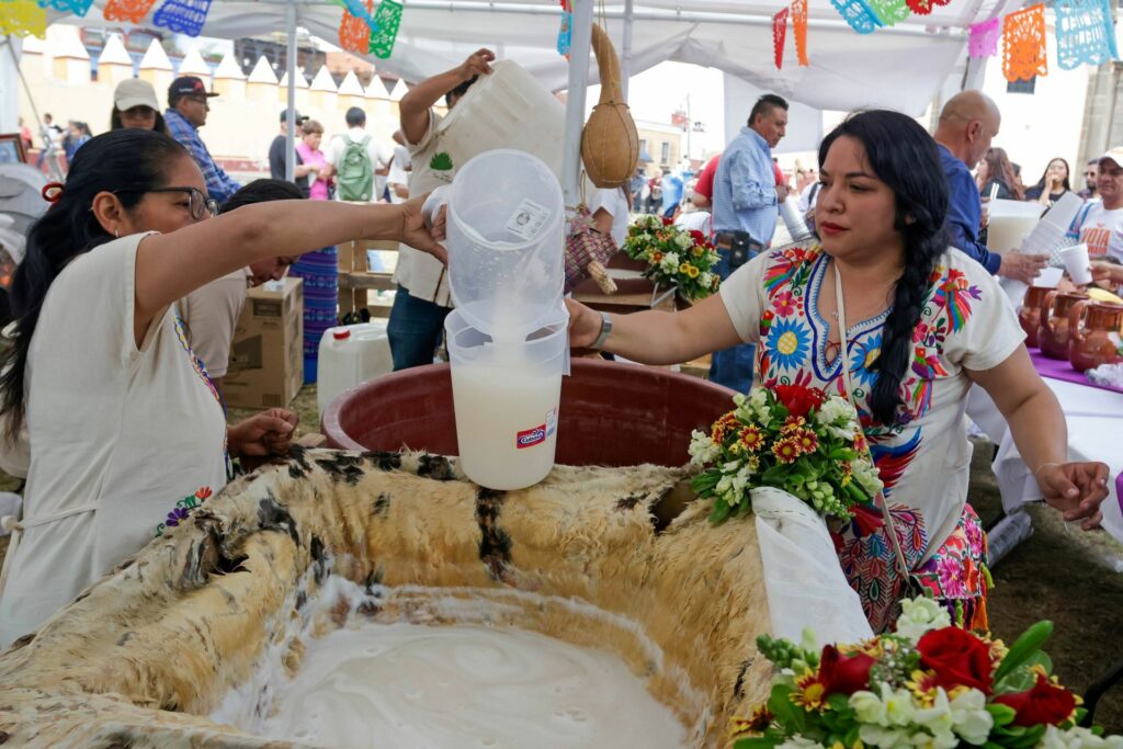 El festival del pulque se realizará al norte de la CDMX