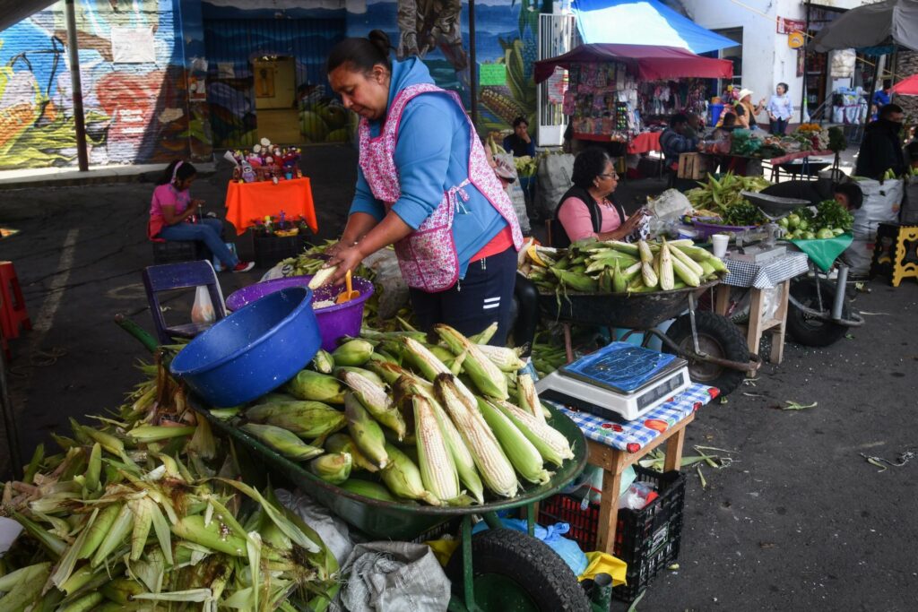 Feria Nacional del Elote 2025