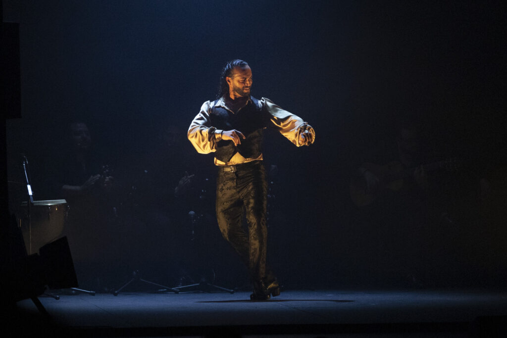 Festival Internacional
Flamenco